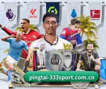 pingtai-333sport.com.cn APP